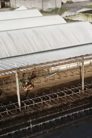 Câmara de Gavião estima em 2ME de prejuízos em estruturas municipais